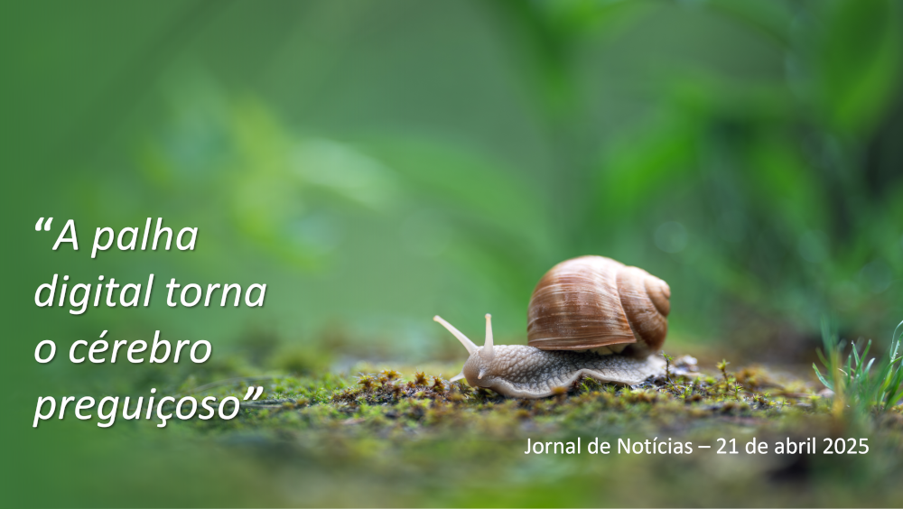 Notícias 3 Noticia 2025 04 21 resised
