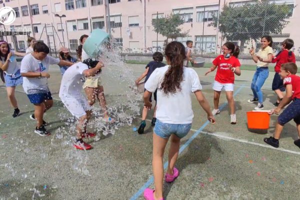 Capa vídeo 06